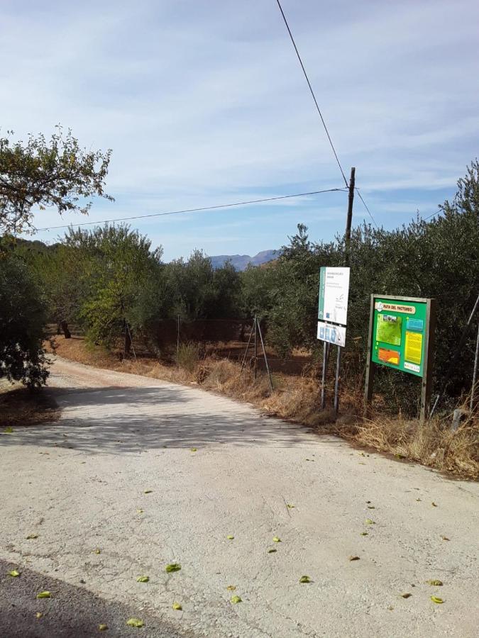 Hacienda La Buena Vida B&B En Appartementen Casita Almendas La Carrera de la Vina Luaran gambar