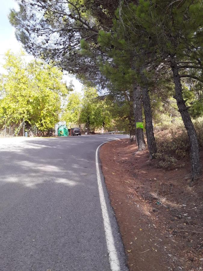 Hacienda La Buena Vida B&B En Appartementen Casita Almendas La Carrera de la Vina Luaran gambar