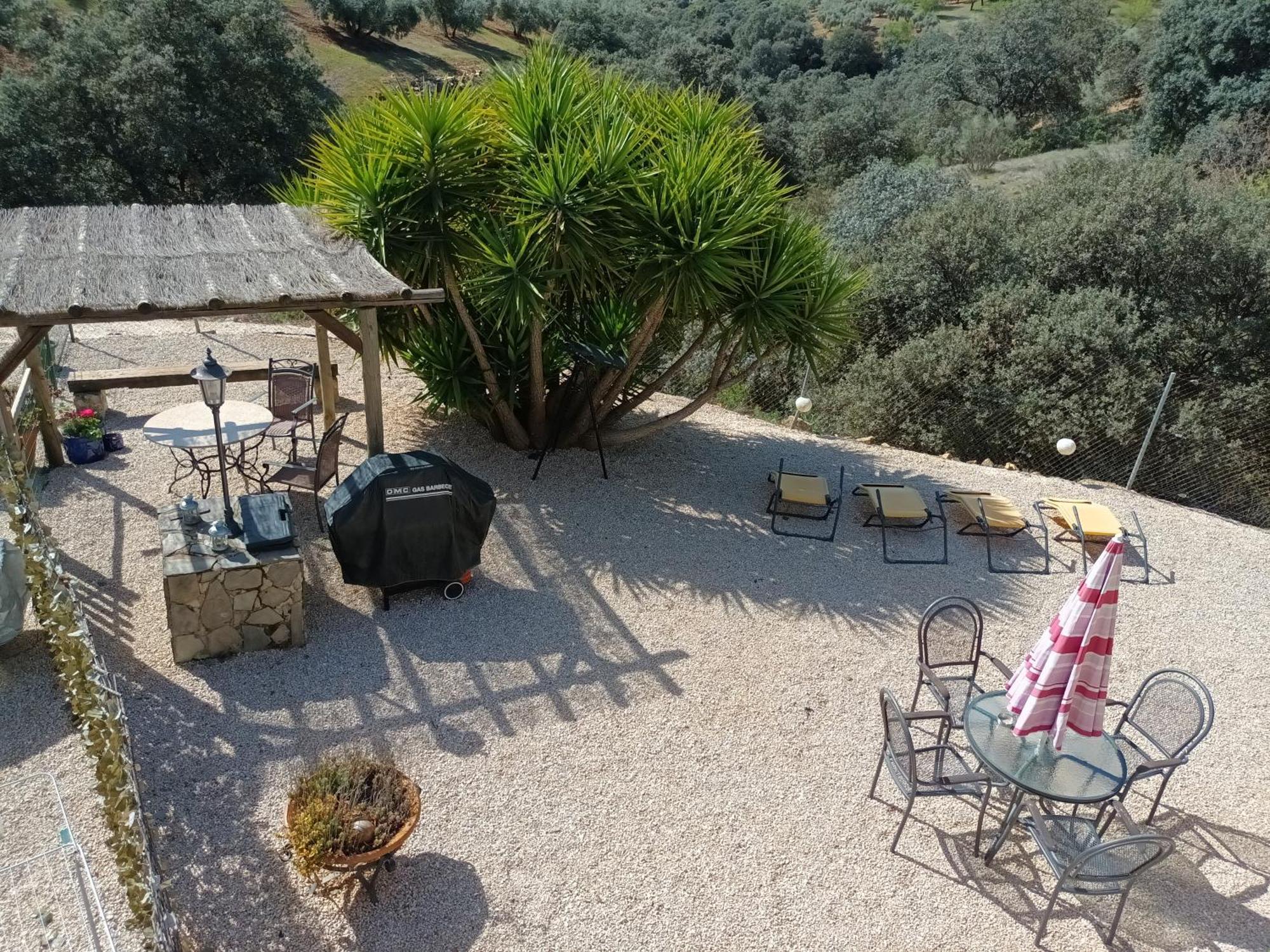 Hacienda La Buena Vida B&B En Appartementen Casita Almendas La Carrera de la Vina Luaran gambar